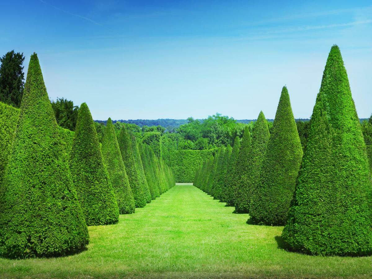 Les Petits Apparts Versailles Buitenkant foto
